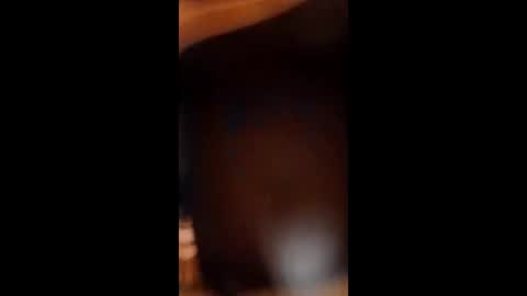 sissybottomcock online show from 12-04-25, 06:55