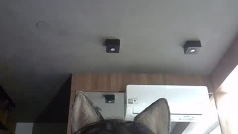 skinnykittencam online show from 11-05-25, 03:17