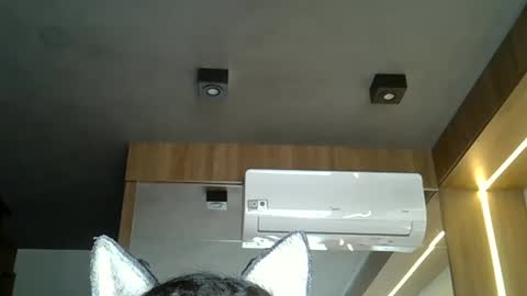 skinnykittencam online show from 11-05-25, 03:56