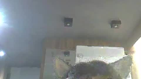skinnykittencam online show from 01-13-26, 03:01