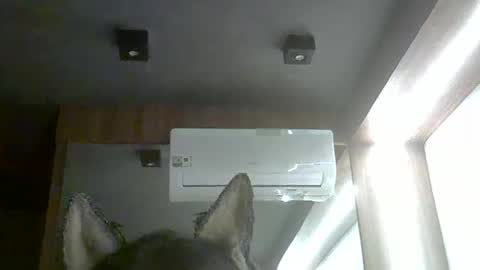 skinnykittencam online show from 02-05-26, 10:14