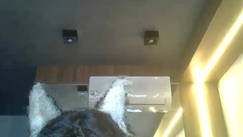 skinnykittencam online show from 02-08-26, 08:23