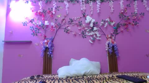 sofia online show from 02-05-26, 01:16