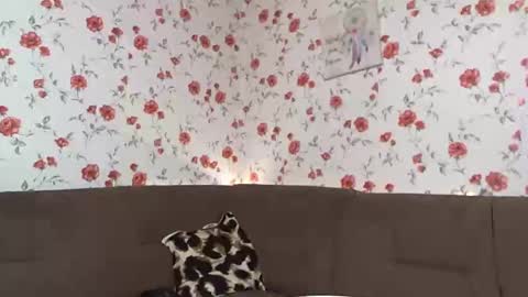 Sky online show from 12-10-24, 01:00