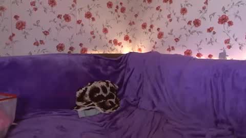 Sky online show from 02-24-25, 06:05