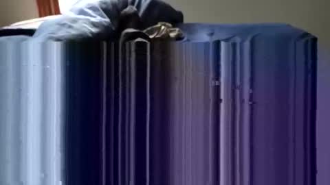 slappincheeks299 online show from 10-28-25, 10:23