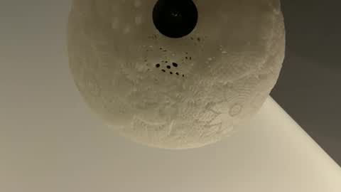 Snapshot of slimguy03 chatting on 01-28-25, 03:25 slimguy03 online show from 01-28-25, 03:25