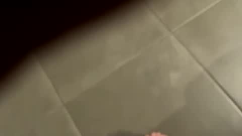 slimlord90 online show from 01-25-25, 01:08