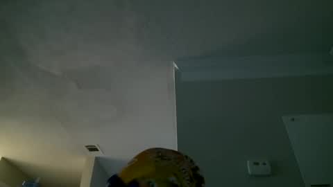 Snapshot of slimmmgooodiexoxo chatting on 09-26-25, 11:14 slimmmgooodiexoxo online show from 09-26-25, 11:14