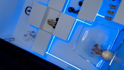 Ariana online show from 01-10-25, 11:43