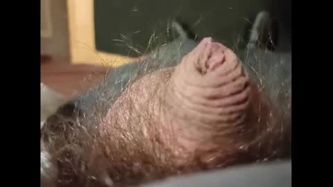Small Hairy Uncut online show from 01-27-25, 03:37