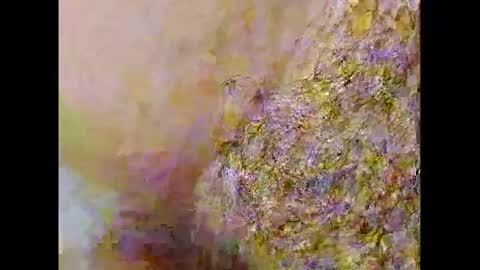 Small Hairy Uncut online show from 02-26-25, 10:09