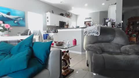 Snapshot of smallpenisbigtongue chatting on 12-15-24, 07:31 Daddy online show from 12-15-24, 07:31