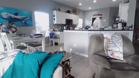 Snapshot of smallpenisbigtongue chatting on 12-25-24, 02:23 Daddy online show from 12-25-24, 02:23