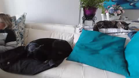 Snapshot of smallpenisbigtongue chatting on 01-06-25, 05:16 Daddy online show from 01-06-25, 05:16