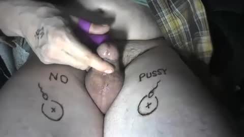 pussyfree4eva online show from 12-08-24, 06:43