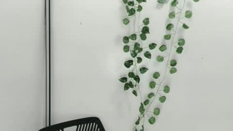 Julia online show from 10-09-25, 06:33