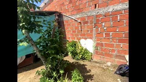 Smith  online show from 12-08-24, 05:01