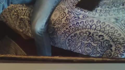 Snapshot of smithology chatting on 02-20-25, 10:26 Smithology online show from 02-20-25, 10:26