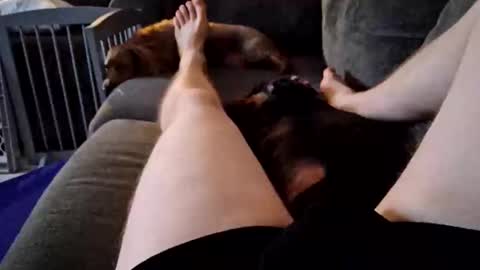 smokynight online show from 09-14-25, 11:26