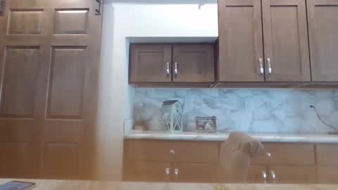 Bambi--Vodka online show from 01-30-25, 07:48