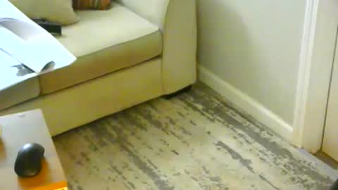 snizniz online show from 01-21-25, 06:23