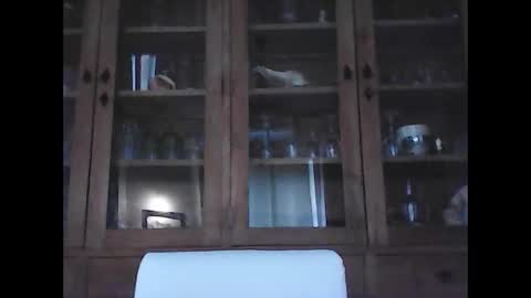 snoecks online show from 02-21-26, 09:21