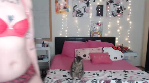 snow_money online show from 03-06-25, 04:19