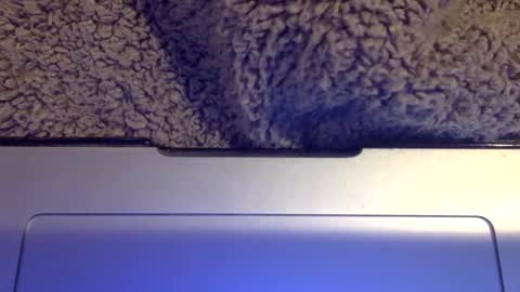 snowpapi79260 online show from 01-21-25, 08:52