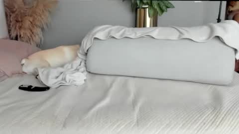 Snapshot of sofia_rivers_ chatting on 02-21-25, 01:22 sofia_rivers_ online show from 02-21-25, 01:22