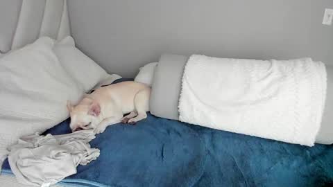 Snapshot of sofia_rivers_ chatting on 03-01-25, 12:23 sofia_rivers_ online show from 03-01-25, 12:23