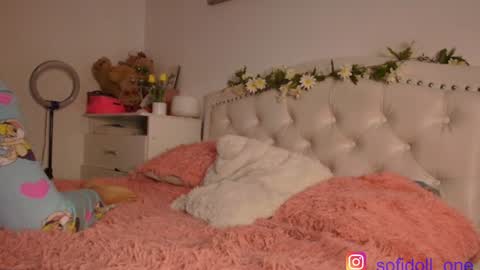 Snapshot of sofidoll1 chatting on 12-27-24, 09:17 Sofia PVT online show from 12-27-24, 09:17