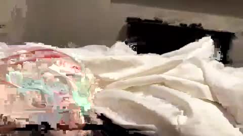 softslickandsweet online show from 02-04-25, 06:49