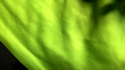 Soni online show from 02-10-25, 06:31