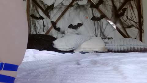 SophiaLee online show from 10-15-25, 11:27