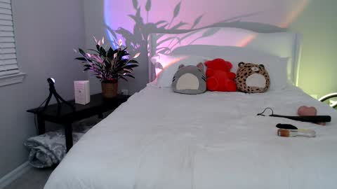 Snapshot of sophieeestar chatting on 01-07-25, 12:55 Sophie Star online show from 01-07-25, 12:55