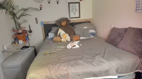 SofiTrans21 online show from 12-15-24, 09:53