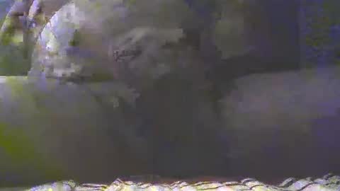 Golan online show from 03-04-25, 07:32