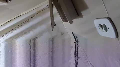 Snapshot of souzabig chatting on 09-14-25, 03:16 souzabig online show from 09-14-25, 03:16