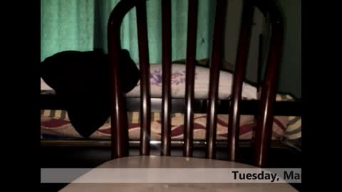 Snapshot of space_dog25 chatting on 03-03-26, 05:24 space Dog25 online show from 03-03-26, 05:24