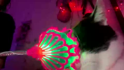 Spacegirl online show from 11-08-25, 08:29