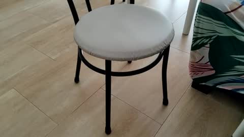 Leo online show from 03-02-26, 01:51