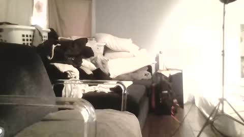 speedsoldier online show from 10-13-25, 05:35