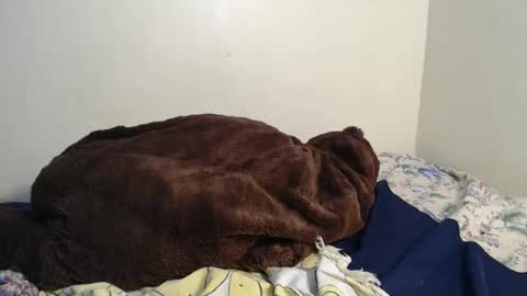 dela online show from 02-02-25, 03:43