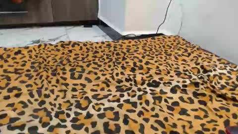 dela online show from 09-13-25, 12:43