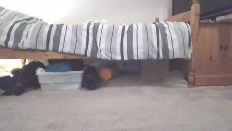 Sportyguy283 online show from 03-04-25, 10:05