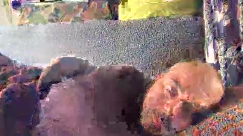 srekos38 online show from 10-10-25, 12:37