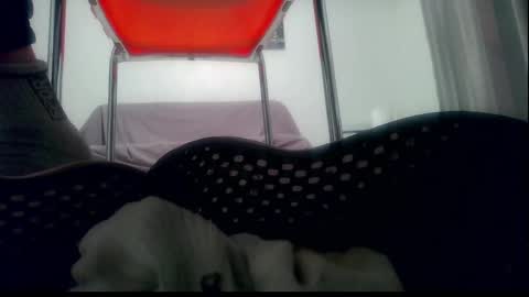 Snapshot of ssenzo chatting on 01-01-25, 10:35 ssenzo online show from 01-01-25, 10:35