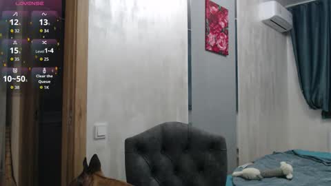 STACY online show from 11-27-25, 09:06