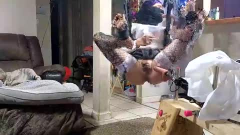 Submissive Slut LOVES adoration online show from 11-12-25, 07:20